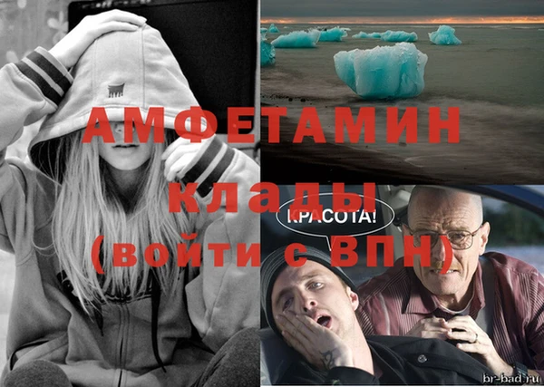 амф Богданович