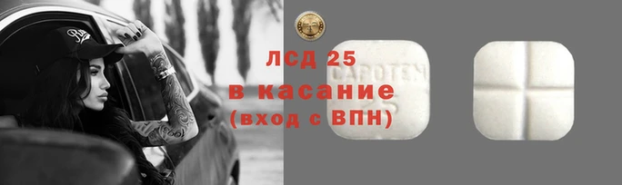 амф Богданович