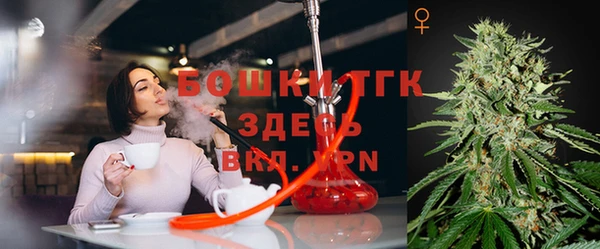амф Богданович
