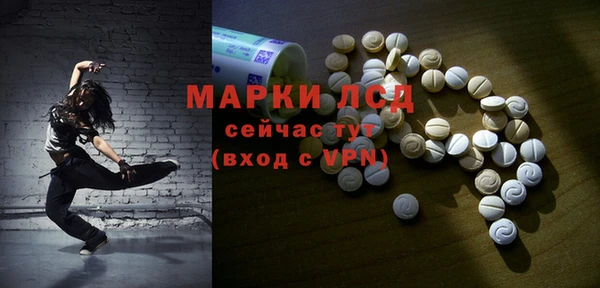 амф Богданович